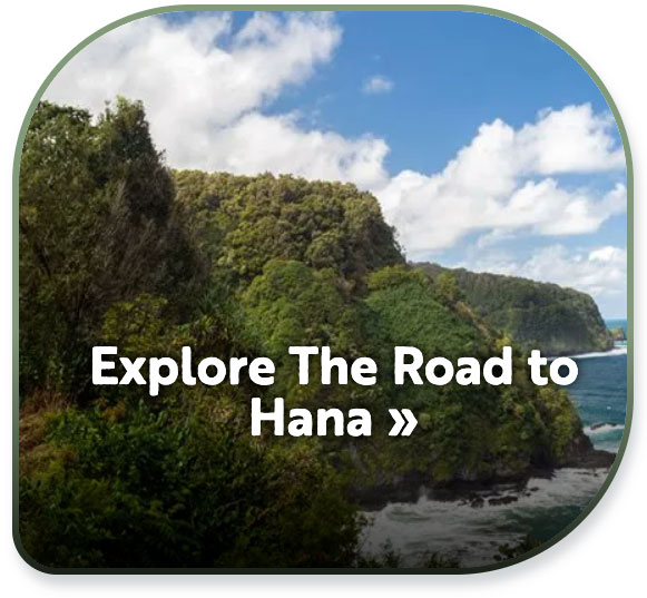 Road to Hana Tours