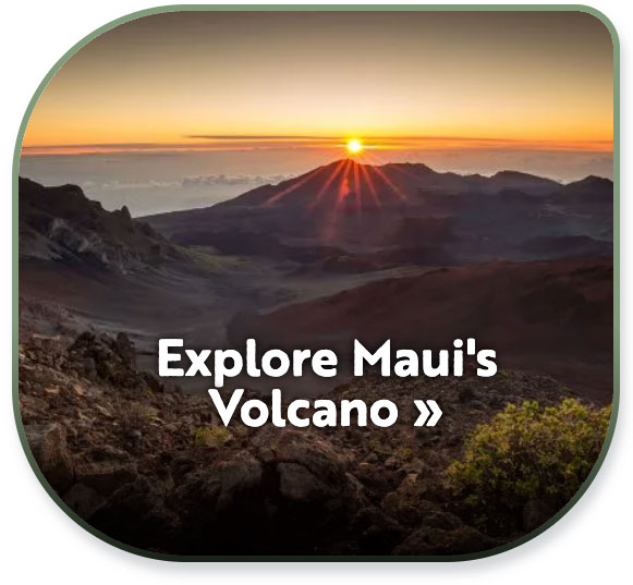 Haleakala Tours